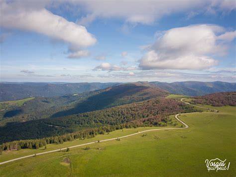 Quatre saisons de résilience : La Navette des Crêtes redémarre dans les Vosges