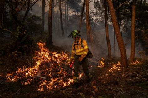 40 000 personnes évacuées, 50 000 hectares brûlés : Macron condamné pour son inaction